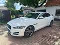 Jaguar XE XE 20t Pure Aut. Pure Weiß - thumbnail 3