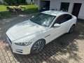 Jaguar XE XE 20t Pure Aut. Pure Weiß - thumbnail 2