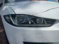 Jaguar XE XE 20t Pure Aut. Pure Weiß - thumbnail 18