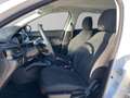 Fiat Tipo 1.6Mjt 130CV SW AUTOCARRO N1 Weiß - thumbnail 7