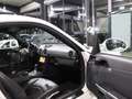 Porsche Cayman S 3.4 COUPE SPORT CHRONO PAKET PLUS Fehér - thumbnail 16
