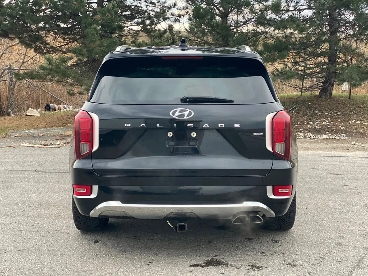 Hyundai PALISADE снимка Hyundai PALISADE