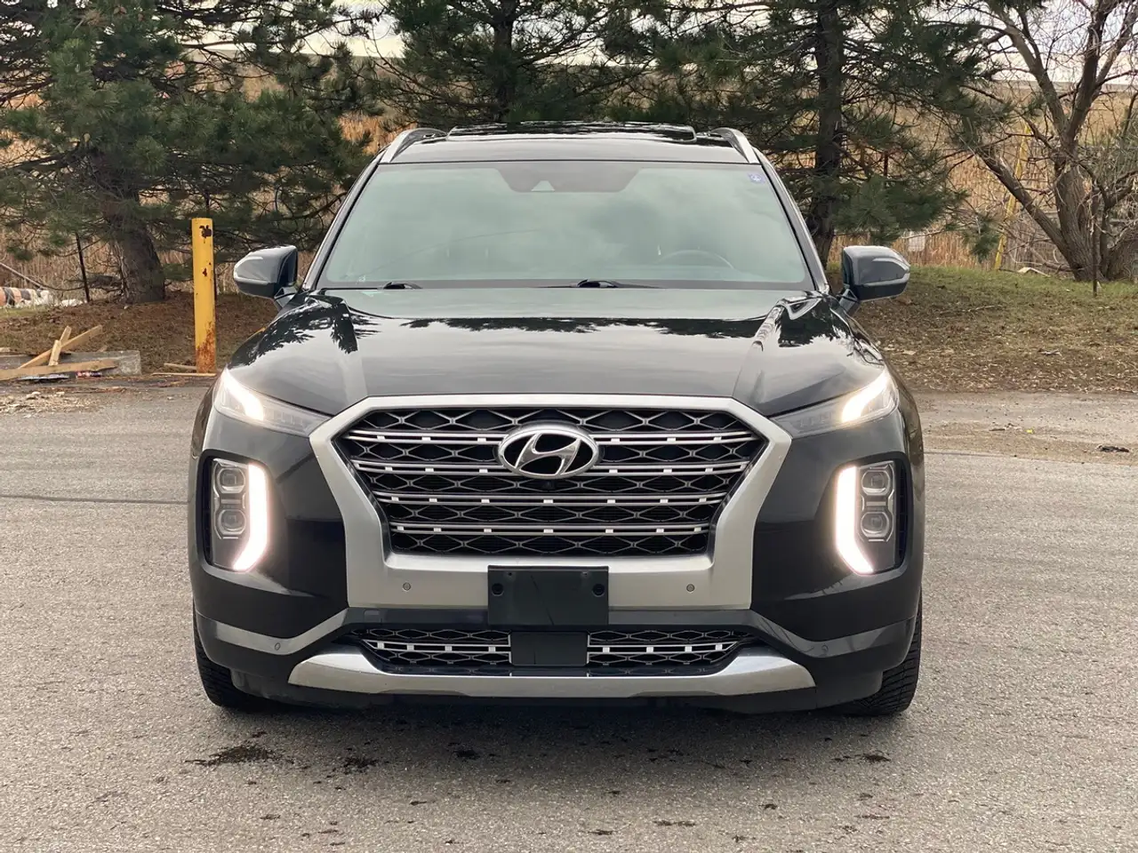 Hyundai PALISADE снимка Hyundai PALISADE
