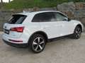 Audi Q5 40 TDI advanced S line Matrix Tour Business Blanc - thumbnail 5