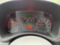 Fiat Panda 1.2 Dynamic | Elekt. Ramen | Radio / CD | APK tot Rojo - thumbnail 12