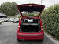 Fiat Panda 1.2 Dynamic | Elekt. Ramen | Radio / CD | APK tot Rojo - thumbnail 19