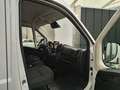 Fiat Ducato 140 MT L3H2 KaWa MY25*KLIMA*NAVI*REAR-CAM Weiß - thumbnail 5