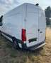 Mercedes-Benz Sprinter Mercedes-Benz Sprinter 314 2.2 CDI BLUETEC TURBO - thumbnail 2