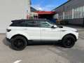 Land Rover Range Rover Evoque Range Rover Evoque Pure Tech 2,2 TD4 Pure Tech Weiß - thumbnail 6
