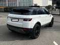 Land Rover Range Rover Evoque Range Rover Evoque Pure Tech 2,2 TD4 Pure Tech Weiß - thumbnail 5