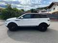Land Rover Range Rover Evoque Range Rover Evoque Pure Tech 2,2 TD4 Pure Tech Weiß - thumbnail 3