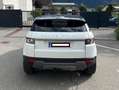 Land Rover Range Rover Evoque Range Rover Evoque Pure Tech 2,2 TD4 Pure Tech Weiß - thumbnail 4