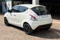 Lancia Ypsilon Ypsilon 1.0 FireFly 5 porte S&S Hybrid Ecochic Sil Bianco - thumbnail 7