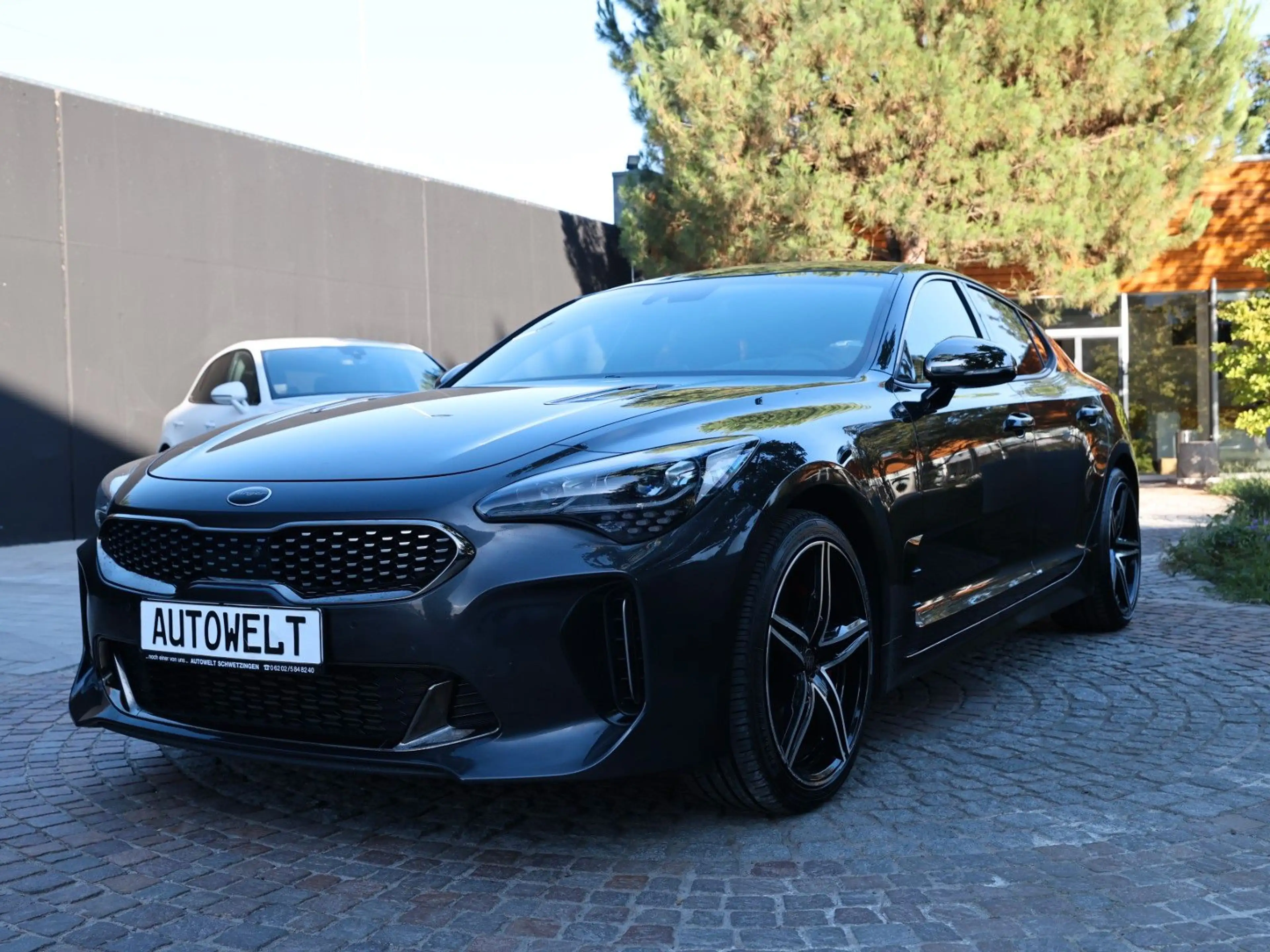Kia Stinger GT 4WD LED,360°Kamera,HUD,Leder,Sitzblft — photo 3