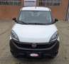 Fiat Doblo 1.3 mjt 16v Easy 95cv 5 POSTI - UNICO PROPRIETARIO Blanco - thumbnail 5