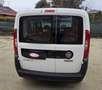Fiat Doblo 1.3 mjt 16v Easy 95cv 5 POSTI - UNICO PROPRIETARIO Blanco - thumbnail 7