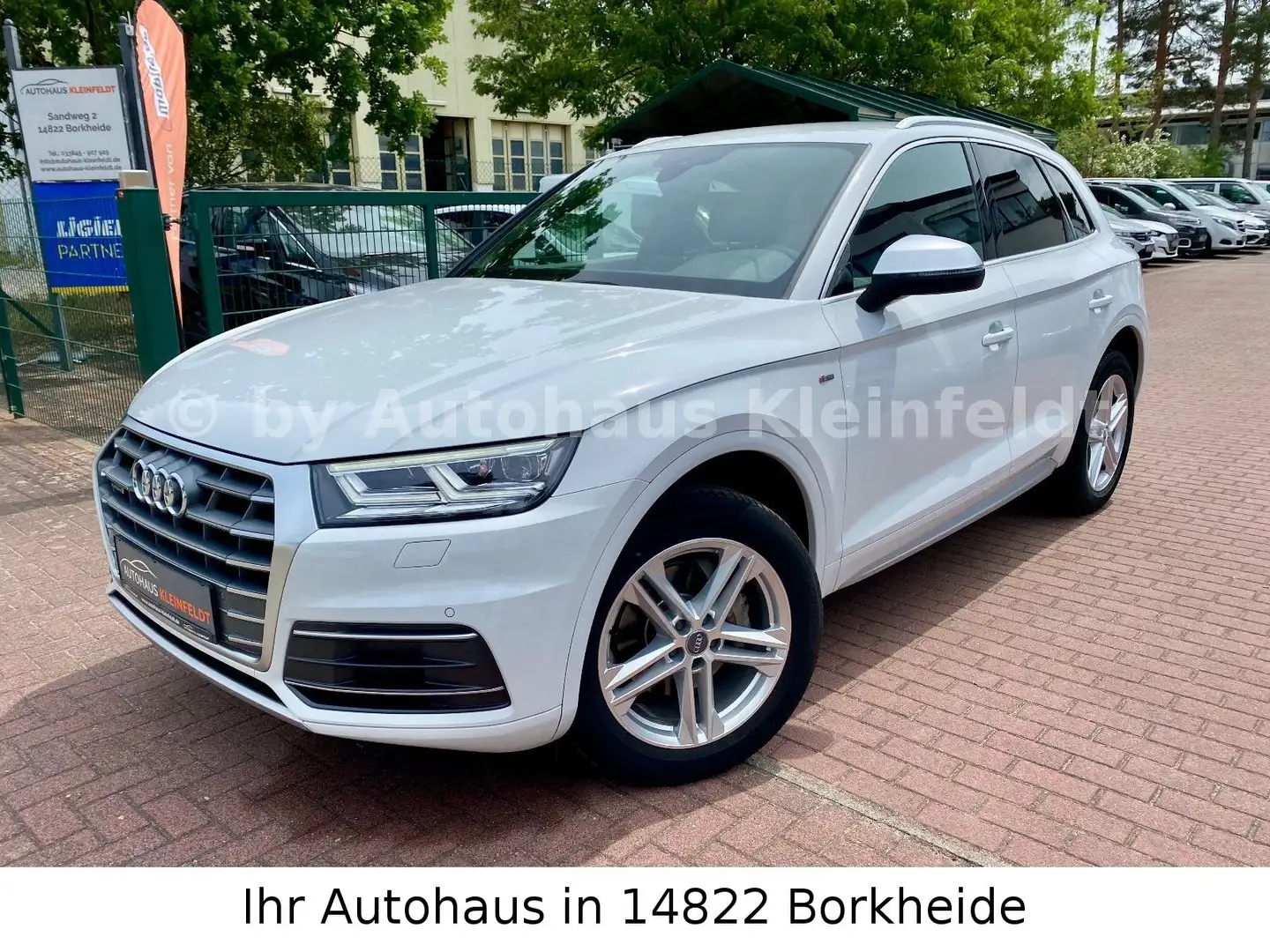 Audi Q5 40 TDI quattro Sport S-line |LED|AHK|KAMERA| Weiß - 2