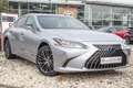 Lexus ES 300 300h Business Line Argintiu - thumbnail 2