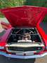 Ford Mustang GT 350 Rood - thumbnail 25