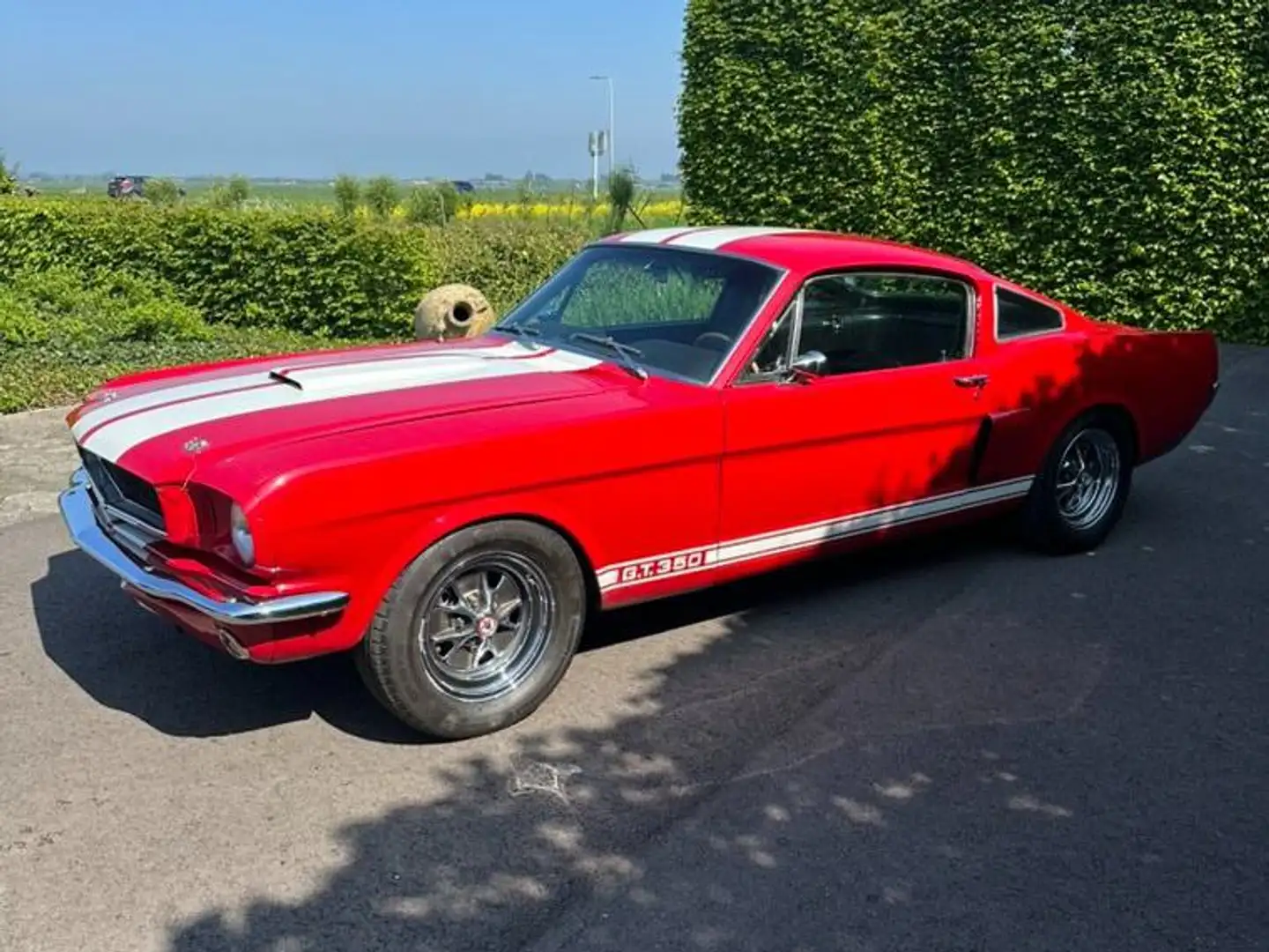 Ford Mustang GT 350 Rood - 2