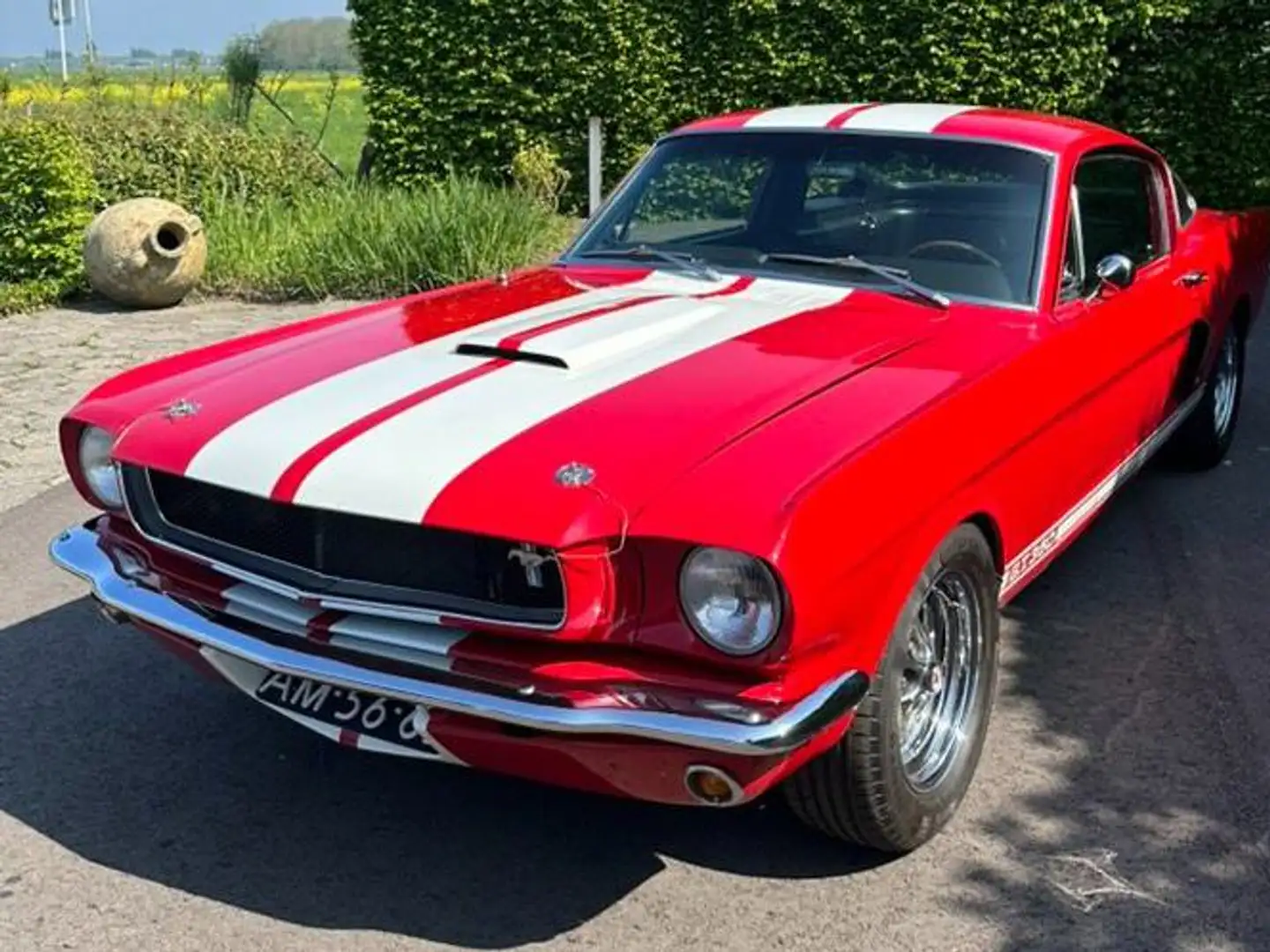 Ford Mustang GT 350 Rood - 1