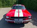 Ford Mustang GT 350 Rood - thumbnail 9