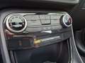 Ford Puma ST-Line Panoramadach/Kamera/PDC/Winter-P. Albastru - thumbnail 20