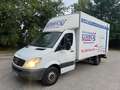 Mercedes-Benz Sprinter 311 CDI Sprinter 906.135 Weiß - thumbnail 1