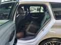 BMW 330 e M Sport Performance LED Ambiente-Licht PDC Weiß - thumbnail 11