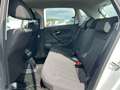 Volkswagen Polo Austria 1,0 Weiß - thumbnail 10