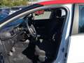 Citroen C3 III 2017 1.2 puretech Shine s&s 83cv Bianco - thumbnail 13