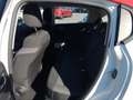 Citroen C3 III 2017 1.2 puretech Shine s&s 83cv Bianco - thumbnail 12