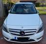 Mercedes-Benz 180 CDI Diesel m. AHK u. Sportpaket Blanc - thumbnail 2