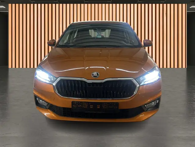 Skoda Fabia view 15