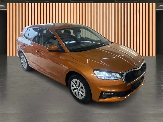 Skoda Fabia view 16