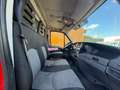 Iveco Daily 35-E4/3.0/SPONDA/TELONATO/2010 Rosso - thumbnail 10