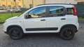 Fiat New Panda 4x4 5° POSTO ! BLOCCO DIFF. ELD PROMO A TEMPO ! Weiß - thumbnail 5