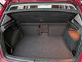 Volkswagen Golf Rot - thumbnail 10