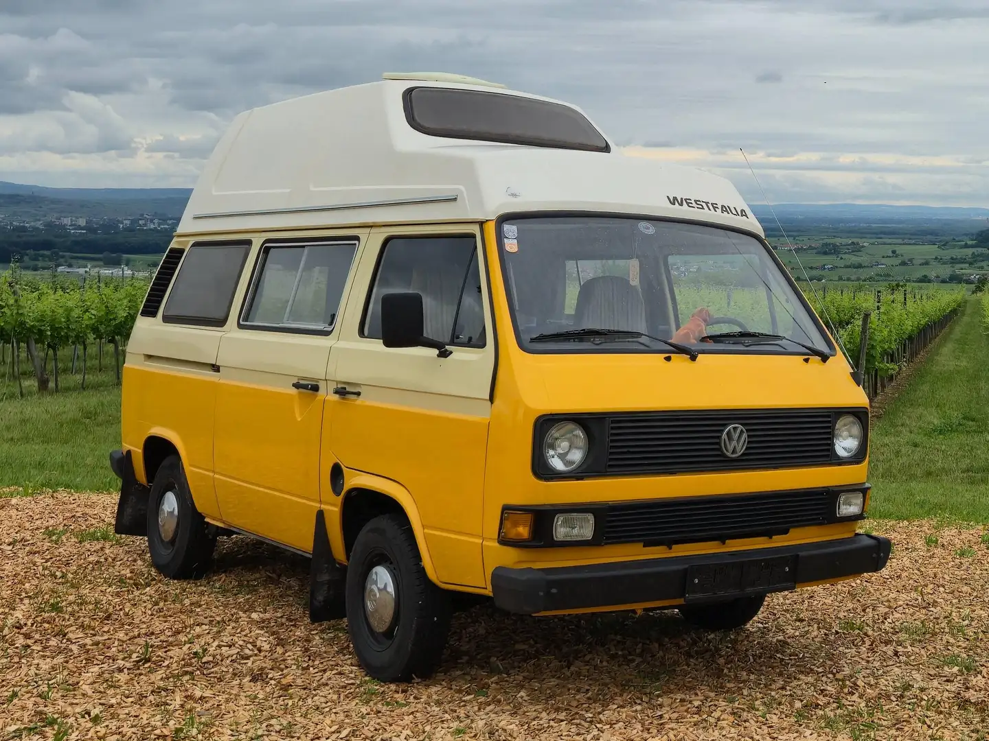 Volkswagen T3 Westfalia Joker 2 Camper Gelb - 1