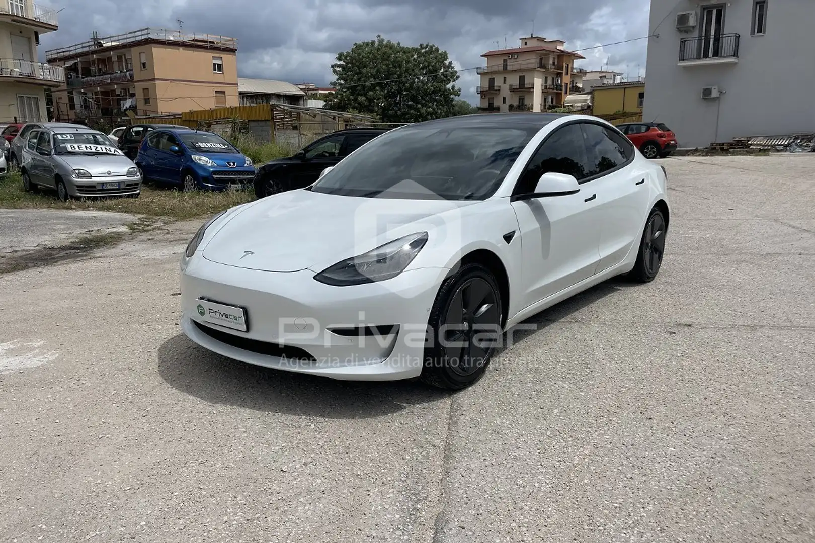 Tesla Model 3 Model 3 Standard RWD Plus Bianco - 1