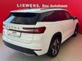 Skoda Kodiaq Sportline TSI mHEV DSG Weiß - thumbnail 3