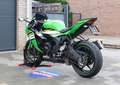 Kawasaki Ninja ZX-6R KRT Verde - thumbnail 9
