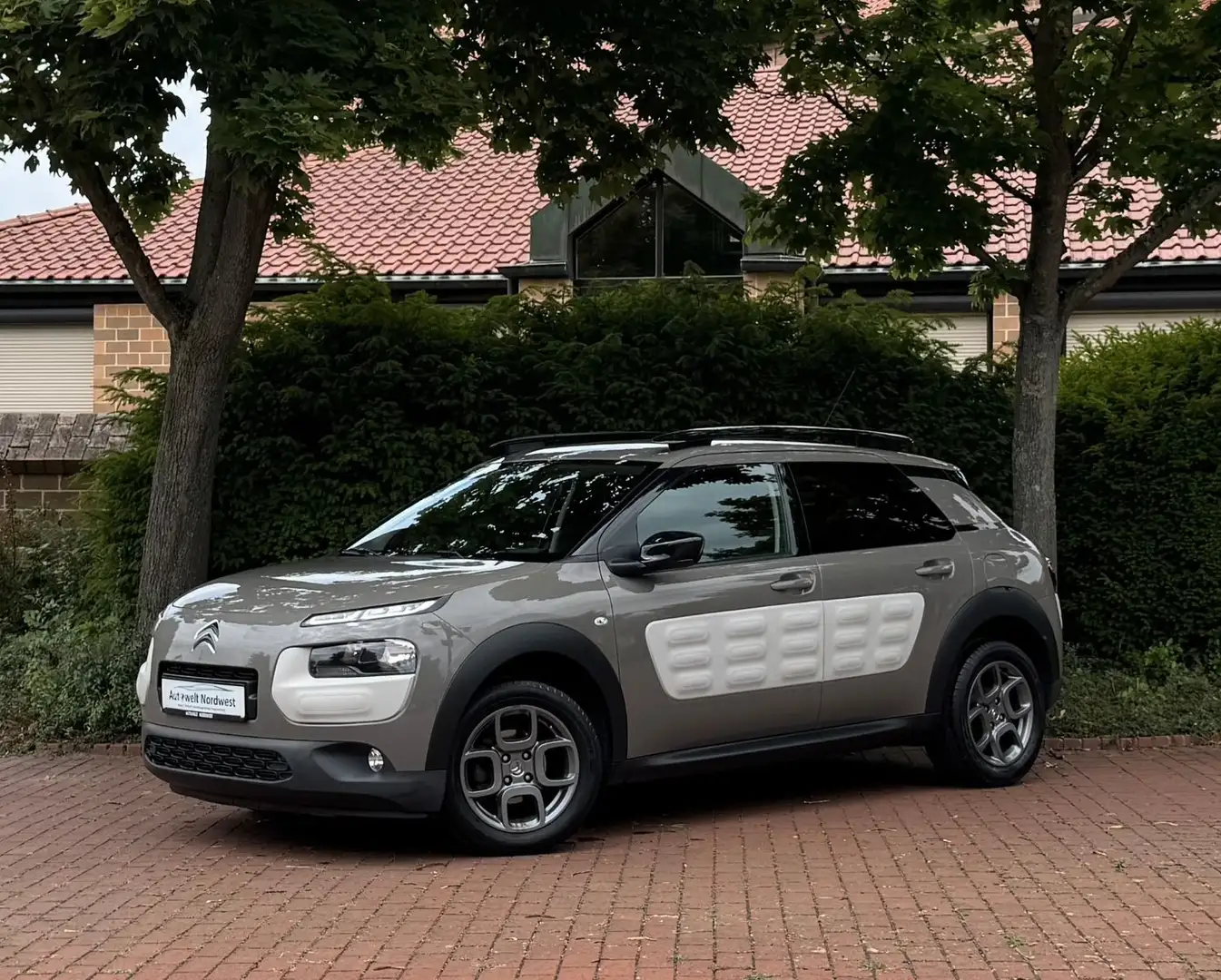 Citroen C4 Cactus Shine|LED TFL|Navi|Touch|Kamera! Kahverengi - 1
