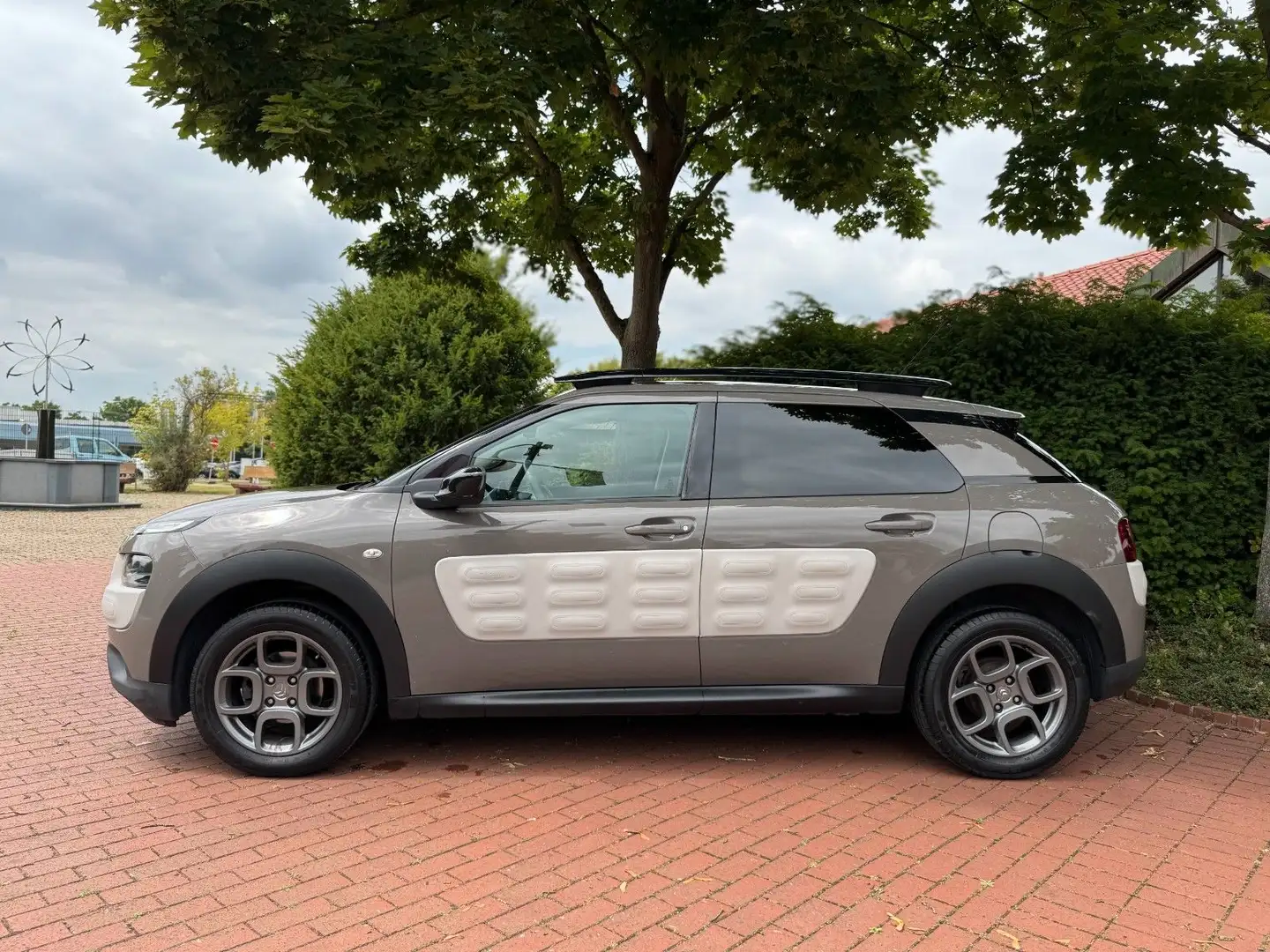 Citroen C4 Cactus Shine|LED TFL|Navi|Touch|Kamera! Kahverengi - 2