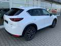 Mazda CX-5 SKYACTIV-D 175 AWD Sports-Line TEC-P Weiß - thumbnail 6