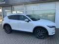 Mazda CX-5 SKYACTIV-D 175 AWD Sports-Line TEC-P Weiß - thumbnail 7
