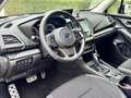 Subaru Forester Comfort Rot - thumbnail 14