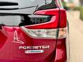 Subaru Forester Comfort Rot - thumbnail 9