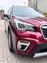 Subaru Forester Comfort Rot - thumbnail 4