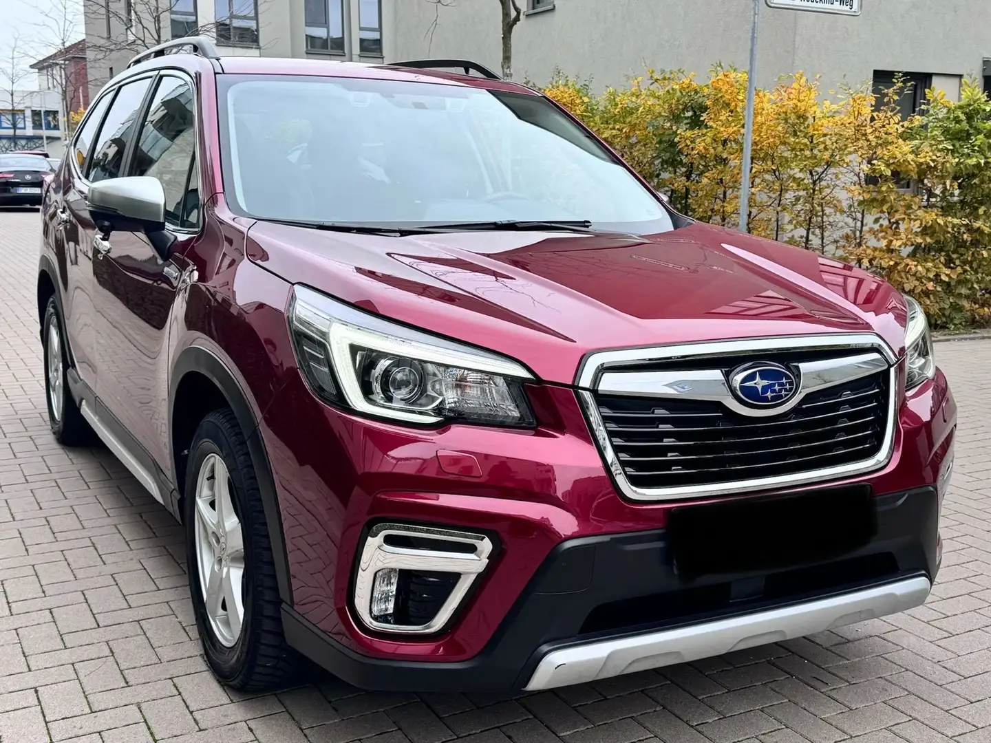 Subaru Forester Comfort Rot - 1